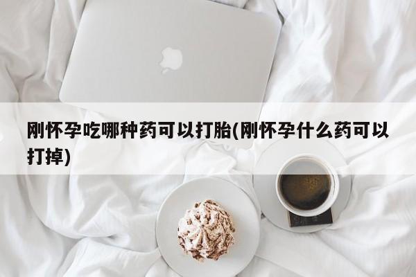 打胎药在线购买全国包邮刚怀孕吃哪种药可以打胎(刚怀孕什么药可以打掉)